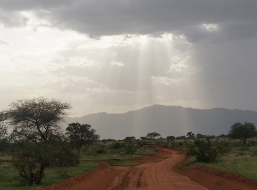 Souvenir du voyage de Tiphaine, Kenya