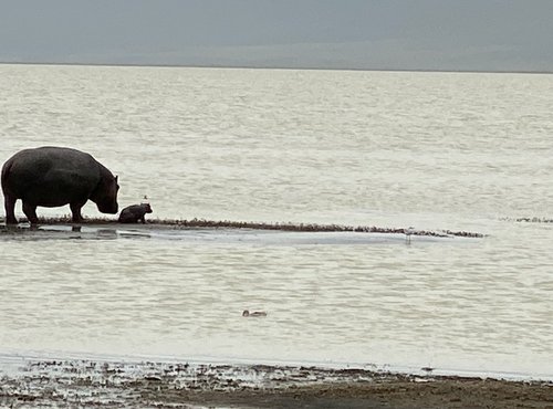 Souvenir du voyage de Eric, Tanzanie