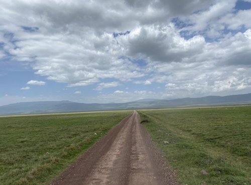 Souvenir du voyage de Eric, Tanzanie