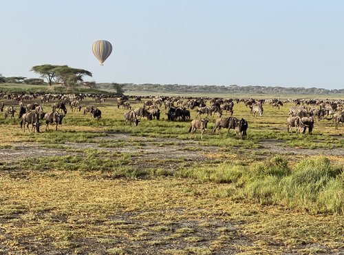 Souvenir du voyage de Eric, Tanzanie