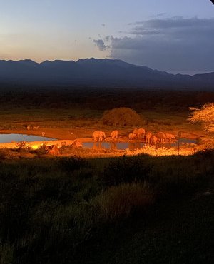 Souvenir du voyage de Salomé, Kenya