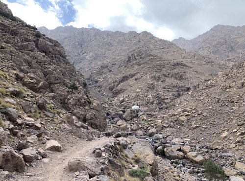 Souvenir du voyage de Célia, Maroc