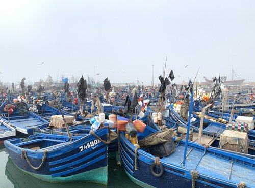 Souvenir du voyage de Célia, Maroc