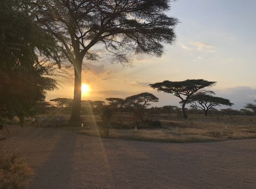 Souvenir du voyage de Audrey, Tanzanie