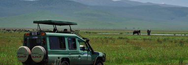 Souvenir du voyage de Mathilde, Tanzanie