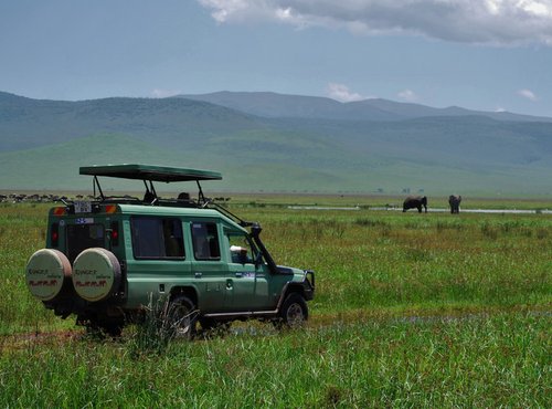 Souvenir du voyage de Mathilde, Tanzanie