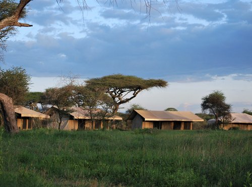 Souvenir du voyage de Mathilde, Tanzanie