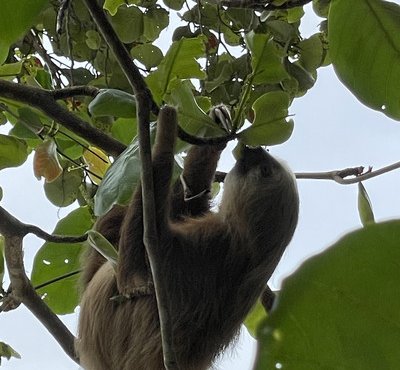 Souvenir du voyage de Chantal, Costa Rica