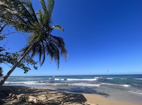 Souvenir du voyage de Chantal, Costa Rica