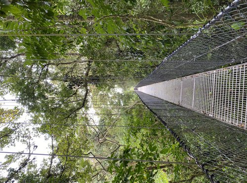 Souvenir du voyage de Genevieve, Costa Rica