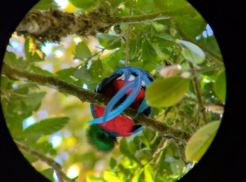 Souvenir du voyage de Genevieve, Costa Rica