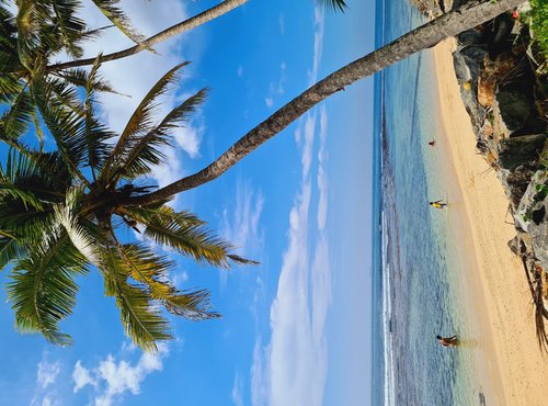 Souvenir du voyage de Vanessa, Sri Lanka