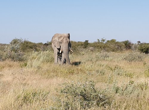 Souvenir du voyage de Murielle, Namibie