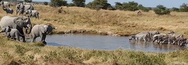 Souvenir du voyage de Murielle, Namibie