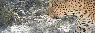 Souvenir du voyage de Murielle, Namibie