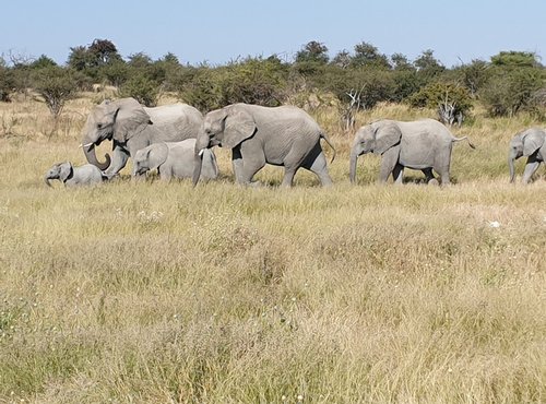 Souvenir du voyage de Murielle, Namibie