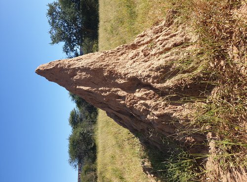 Souvenir du voyage de Murielle, Namibie