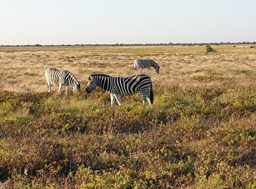 Souvenir du voyage de Murielle, Namibie