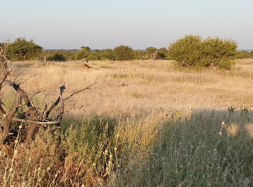 Souvenir du voyage de Murielle, Namibie