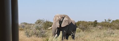 Souvenir du voyage de Murielle, Namibie