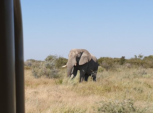 Souvenir du voyage de Murielle, Namibie