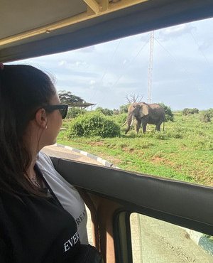 Souvenir du voyage de Hilary, Kenya