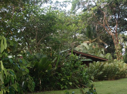 Souvenir du voyage de Christine, Costa Rica