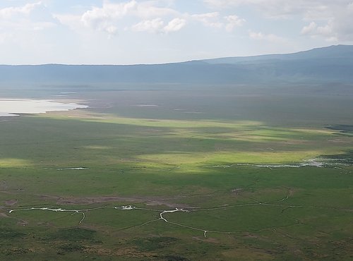 Souvenir du voyage de Marcel, Tanzanie