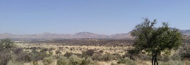 Souvenir du voyage de Catherine, Namibie