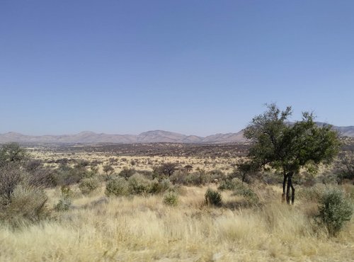 Souvenir du voyage de Catherine, Namibie