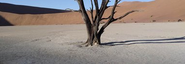 Souvenir du voyage de Catherine, Namibie