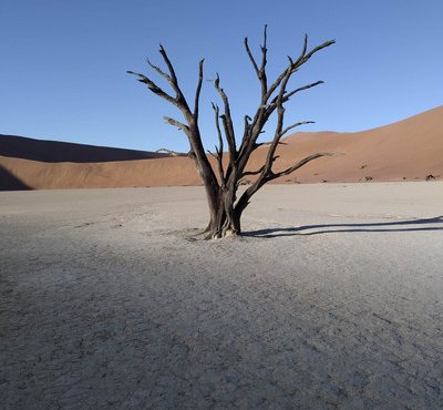 Souvenir du voyage de Catherine, Namibie