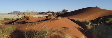 Souvenir du voyage de Catherine, Namibie
