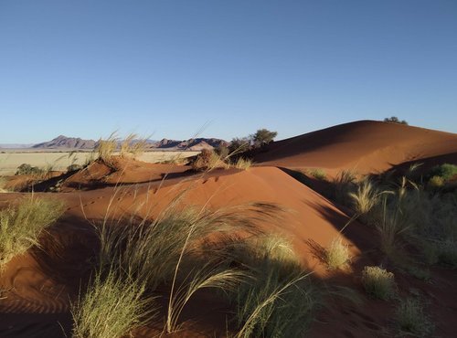 Souvenir du voyage de Catherine, Namibie