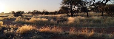 Souvenir du voyage de Catherine, Namibie