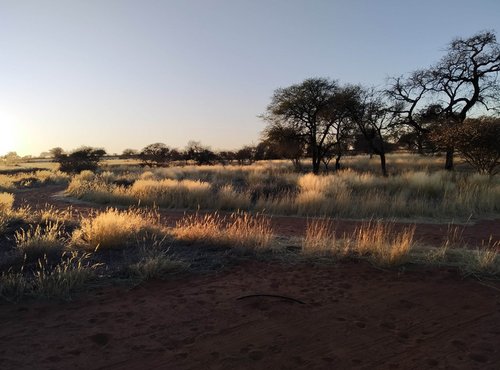 Souvenir du voyage de Catherine, Namibie