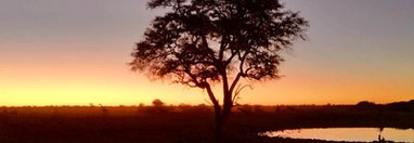 Souvenir du voyage de Catherine, Namibie