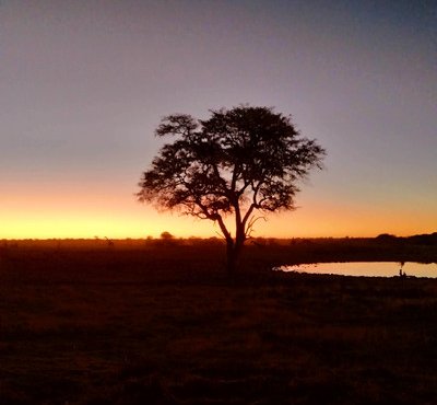 Souvenir du voyage de Catherine, Namibie