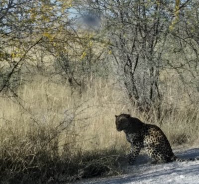 Souvenir du voyage de Catherine, Namibie