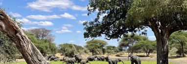 Souvenir du voyage de Aurelien, Tanzanie