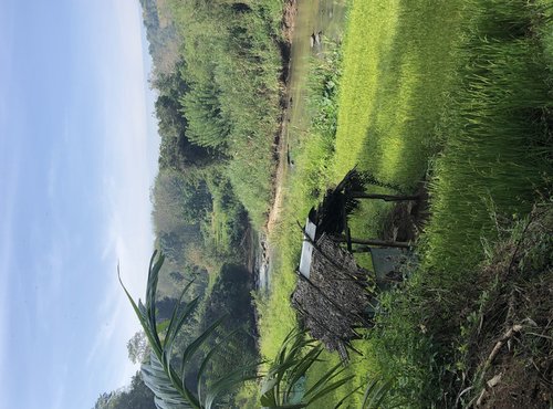 Souvenir du voyage de Cecile, Sri Lanka