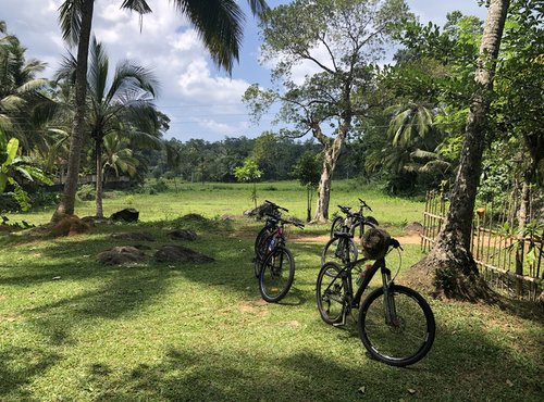 Souvenir du voyage de Cecile, Sri Lanka