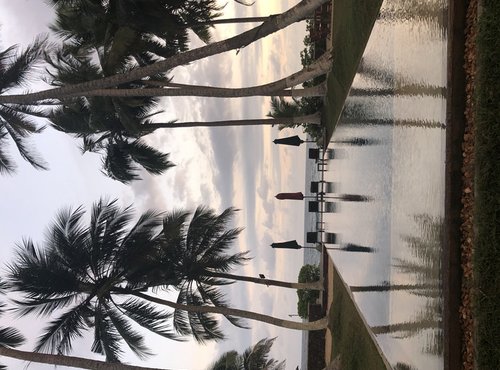 Souvenir du voyage de Cecile, Sri Lanka