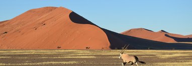 Souvenir du voyage de Anne, Namibie