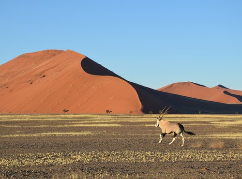 Souvenir du voyage de Anne, Namibie