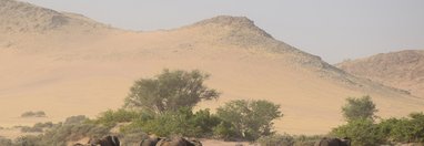 Souvenir du voyage de Anne, Namibie