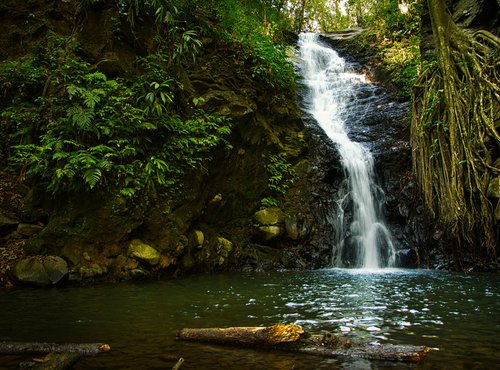 Souvenir du voyage de José, Costa Rica