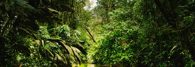 Souvenir du voyage de José, Costa Rica