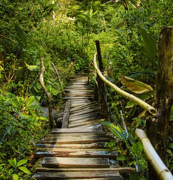 Souvenir du voyage de José, Costa Rica