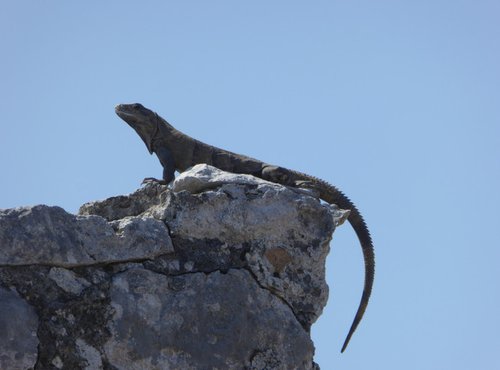 Souvenir du voyage de Valérie , Mexique